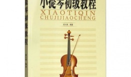 小提琴初学者入门教程视频,轻松掌握基本技巧